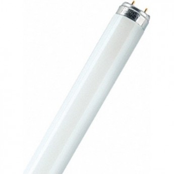 Лампа линейная люминесцентная OSRAM ЛЛ 30вт L 30/765 G13 дневная Лампа линейная люминесцентная OSRAM ЛЛ 30вт L 30/765 G13 дневная